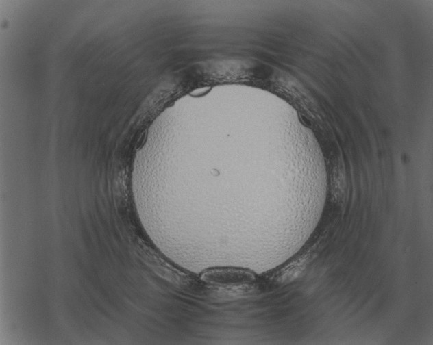 X0000067950473200605041830