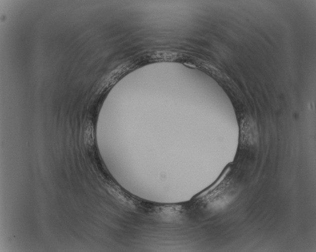 X0000067950474200605041830