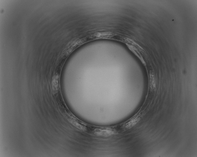 X0000067950475200605041830