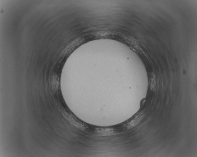 X0000067950476200605041830