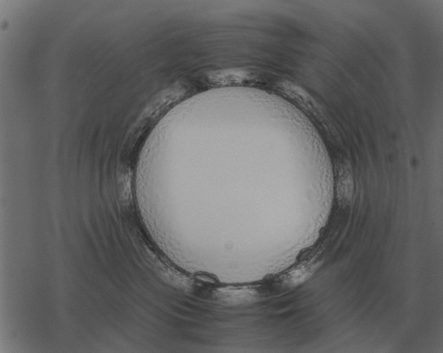 X0000067950477200605041830