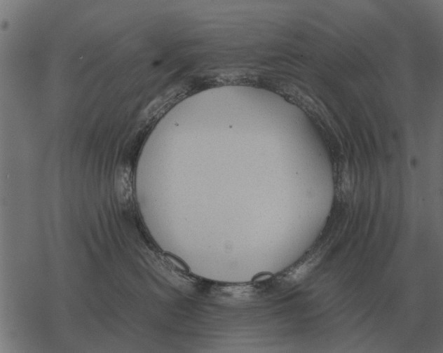 X0000067950478200605041830