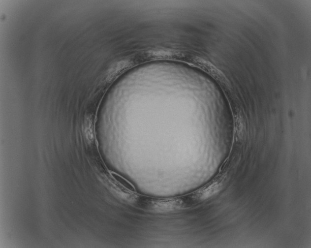 X0000067950479200605041830