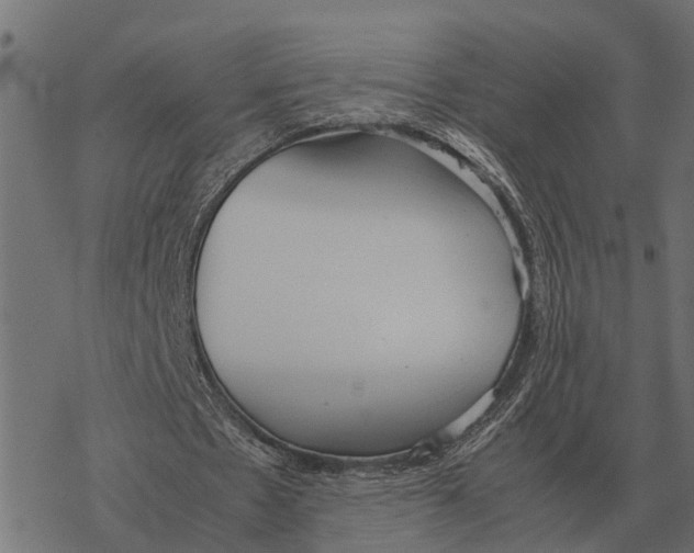 X0000067950481200605041830