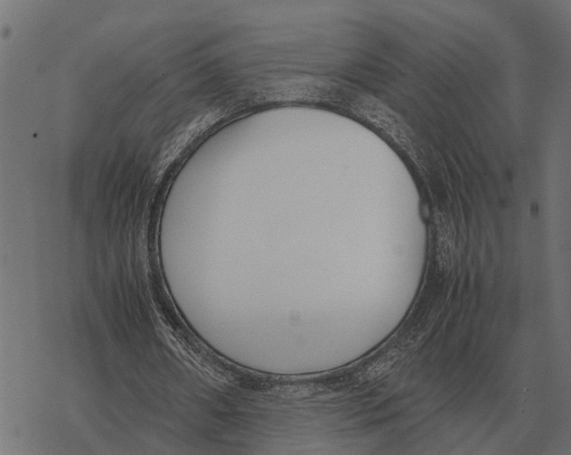 X0000067950482200605041830