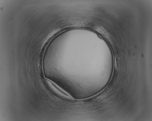 X0000067950483200605041830