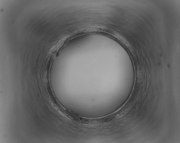 X0000067950485200605041829