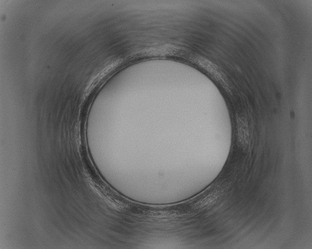 X0000067950486200605041829