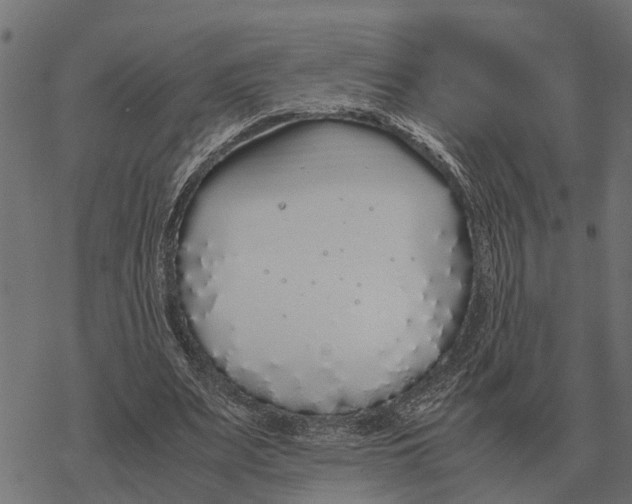 X0000067950487200605041829