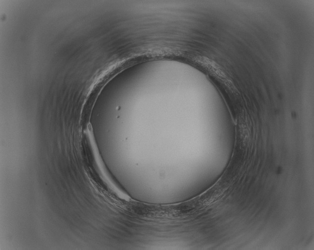 X0000067950488200605041829