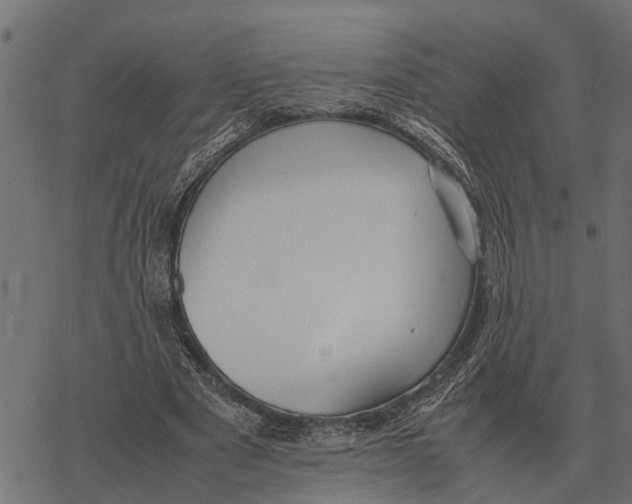 X0000067950489200605041829