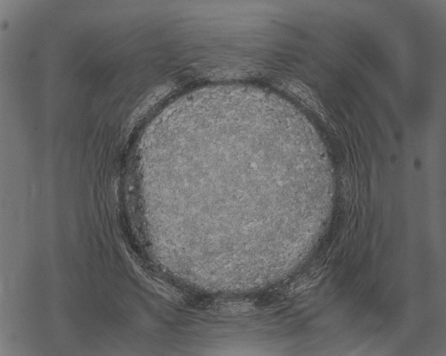 X0000067950491200605041829