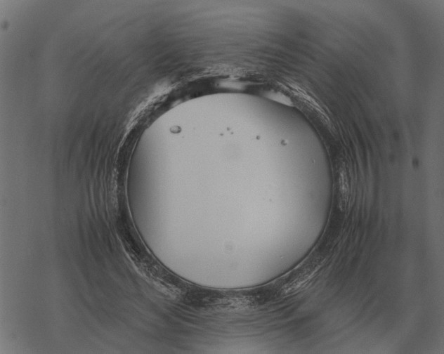 X0000067950492200605041829