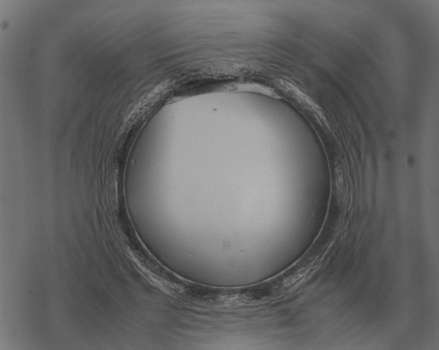 X0000067950493200605041829