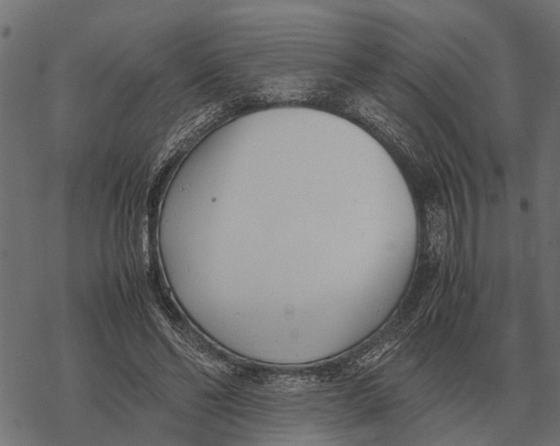 X0000067950494200605041829