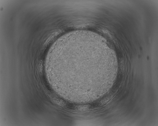 X0000067950495200605041829