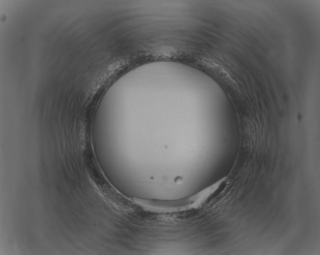 X0000067950496200605041829