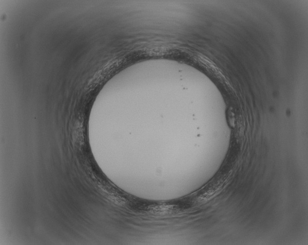 X0000067950497200605041829