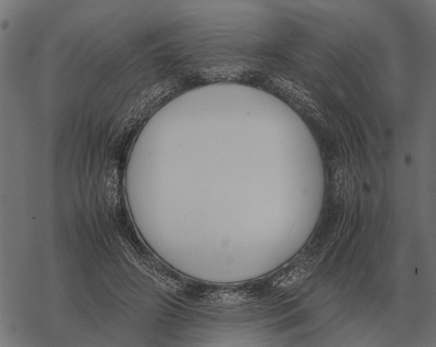 X0000067950498200605041829