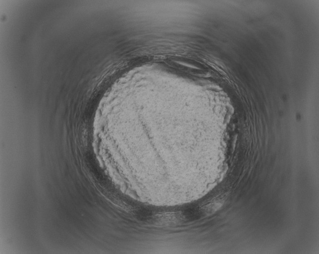 X0000067950499200605041829