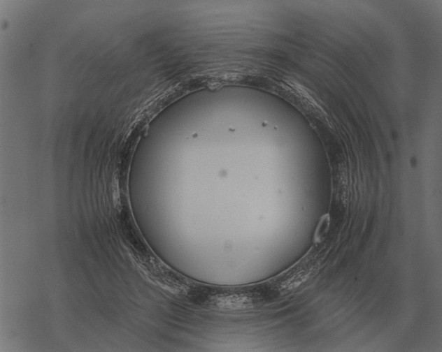 X0000067950500200605041829