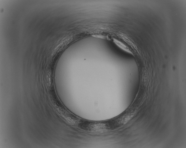 X0000067950501200605041829