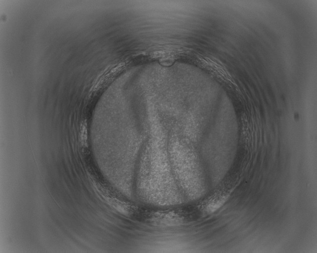 X0000067950502200605041829