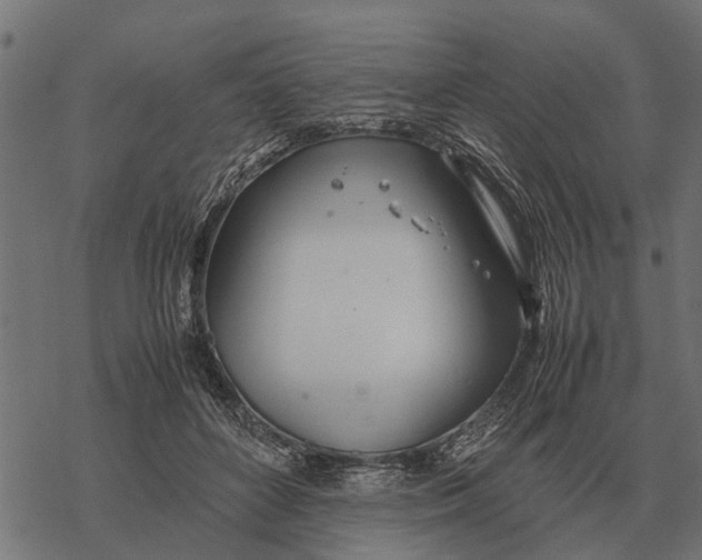 X0000067950504200605041829