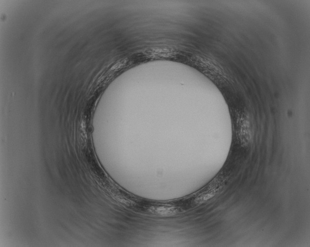 X0000067950506200605041829