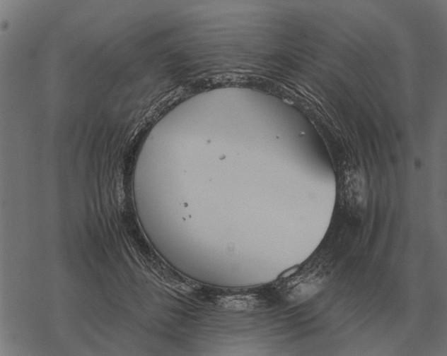 X0000067950508200605041829