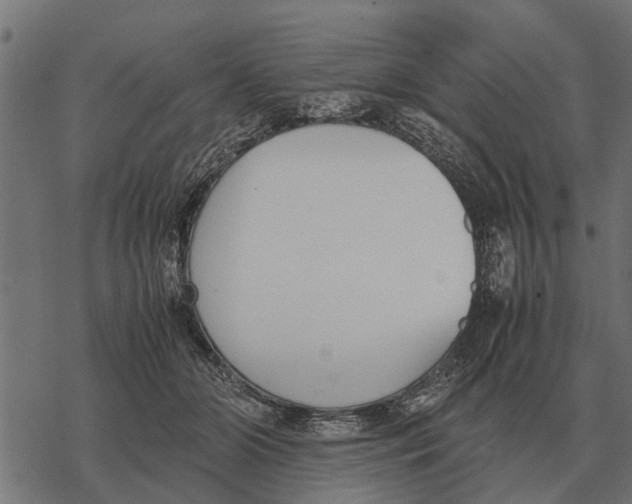 X0000067950510200605041829