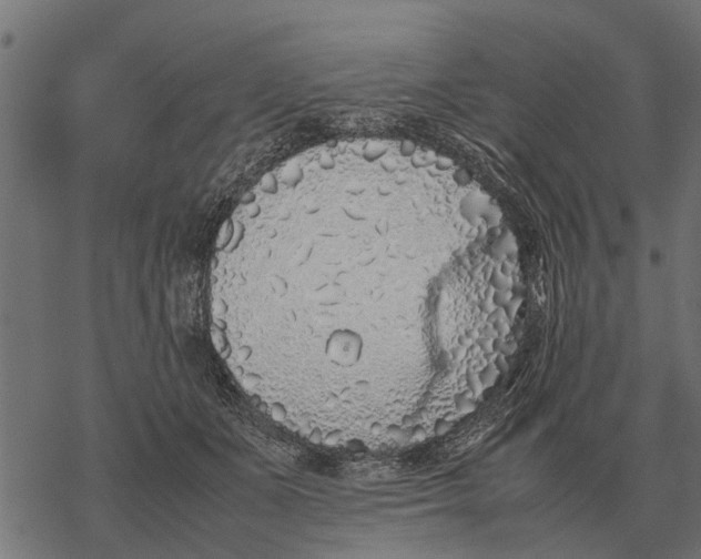 X0000067950511200605041829