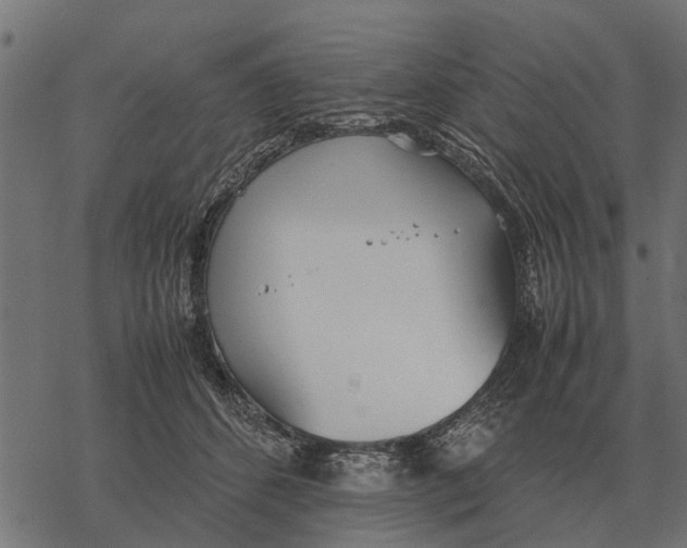 X0000067950512200605041829