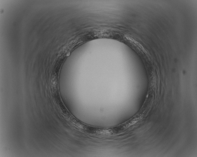 X0000067950513200605041829