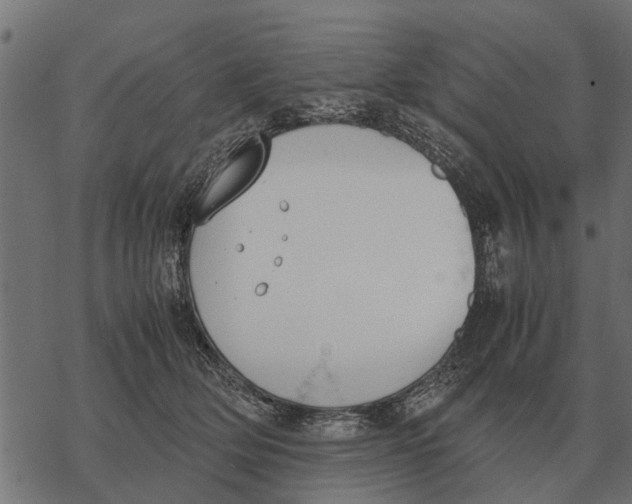 X0000067950514200605041829