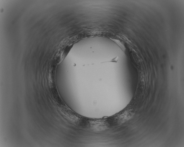 X0000067950516200605041829