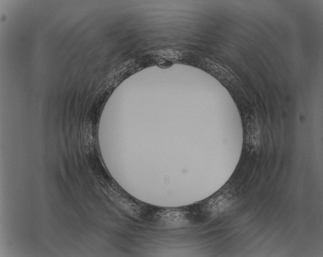 X0000067950518200605041829