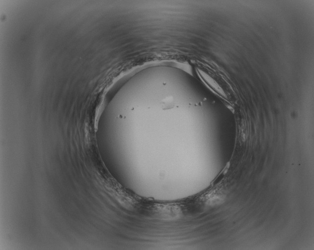 X0000067950520200605041829