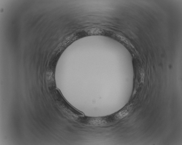 X0000067950521200605041829