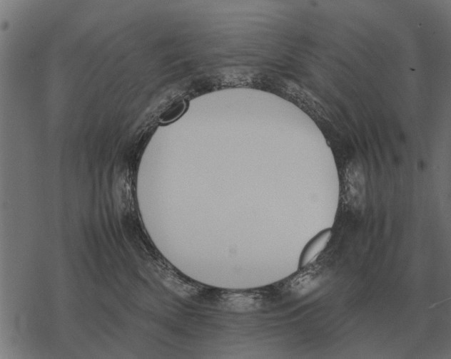 X0000067950522200605041829