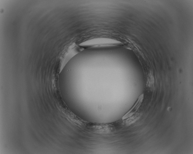 X0000067950524200605041829