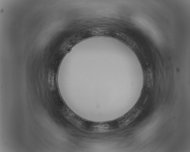 X0000067950525200605041829