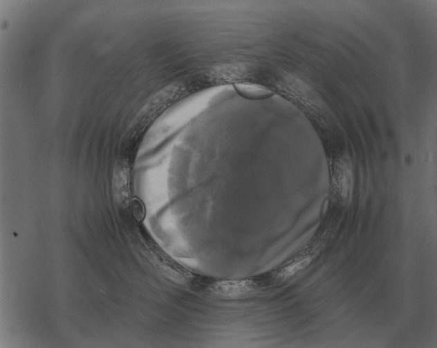 X0000067950526200605041829