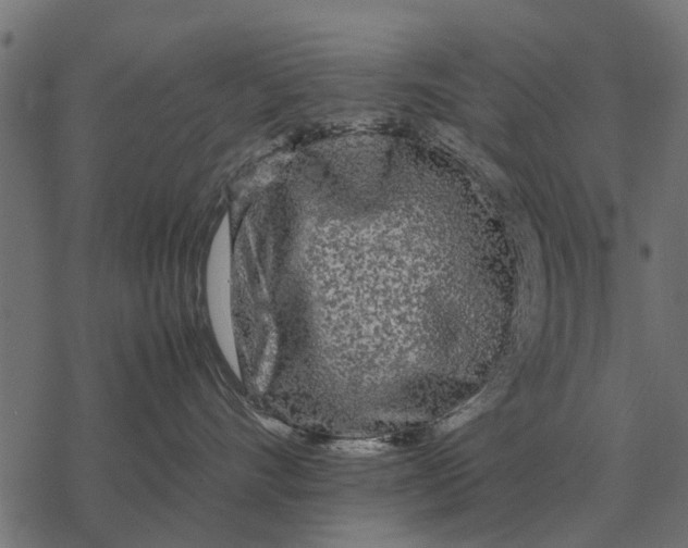 X0000067950528200605041829