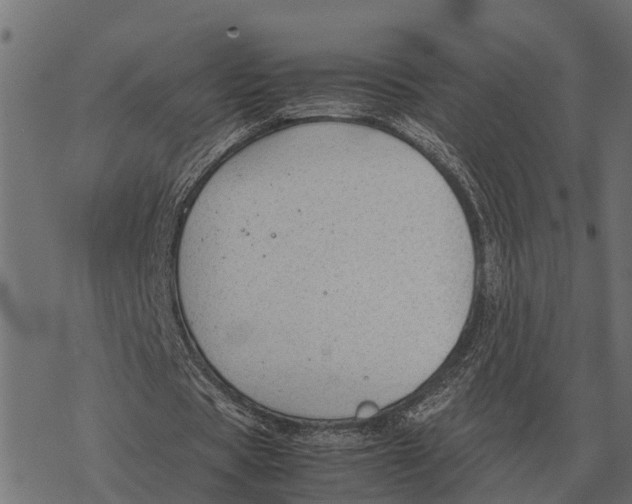 X0000067950529200605041828