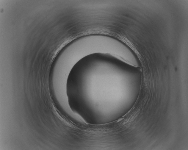 X0000067950530200605041828