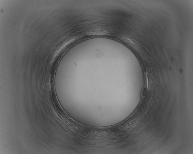 X0000067950531200605041828