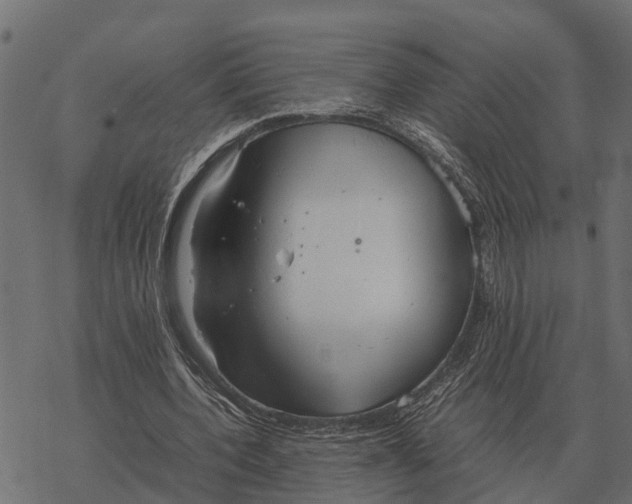 X0000067950532200605041828