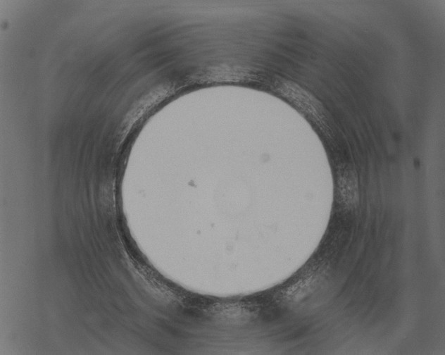 X0000067950534200605041828