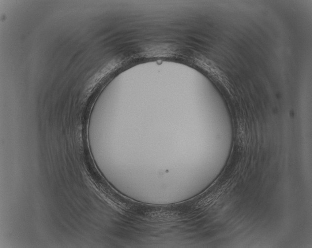 X0000067950535200605041828